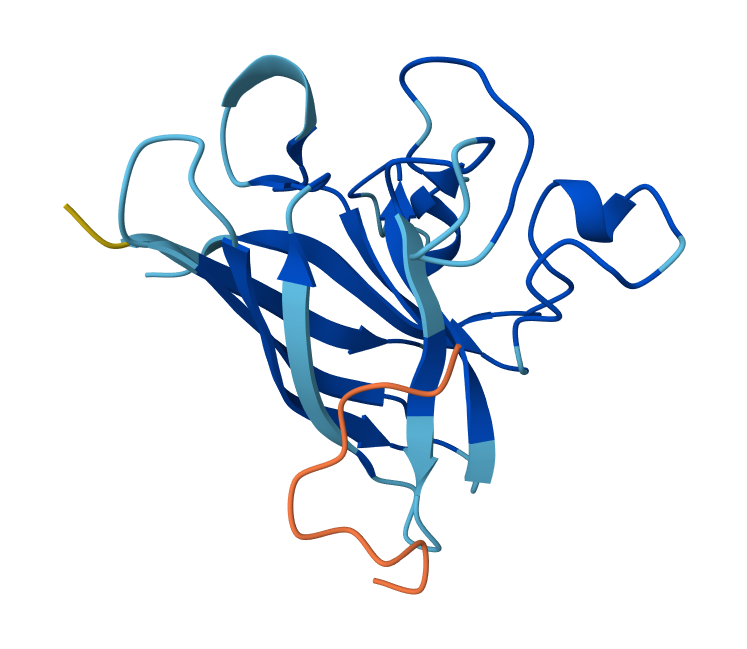 Peptide N°4 AlphaFold result