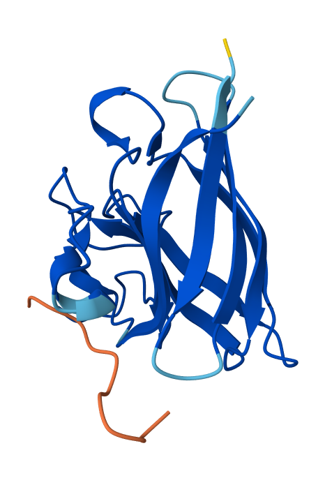 Peptide N°5 AlphaFold result