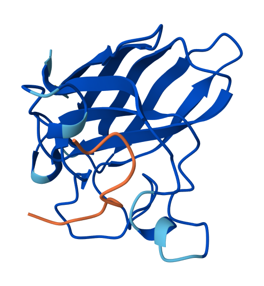 Optimized Peptide N°1 Peptiverse result