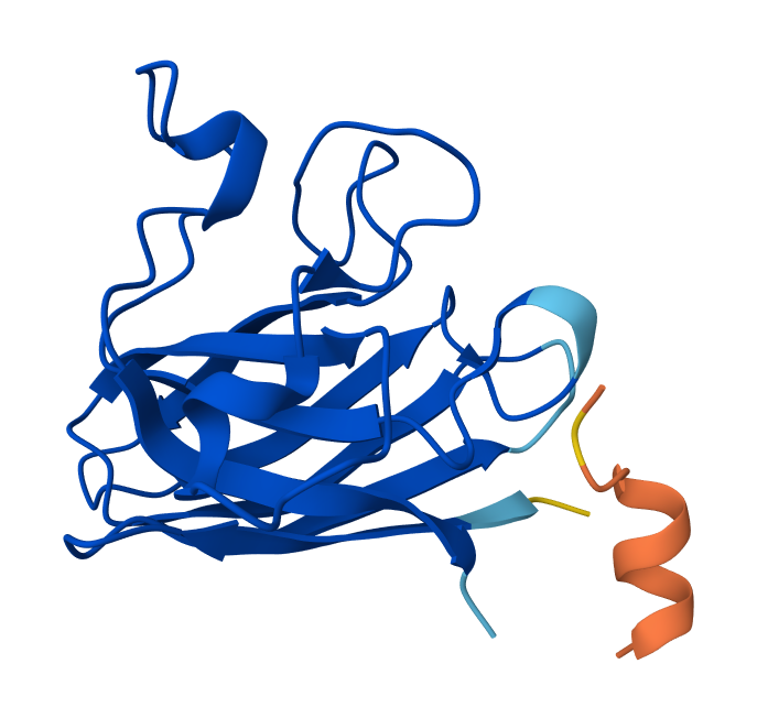 Optimized Peptide N°2 Peptiverse result