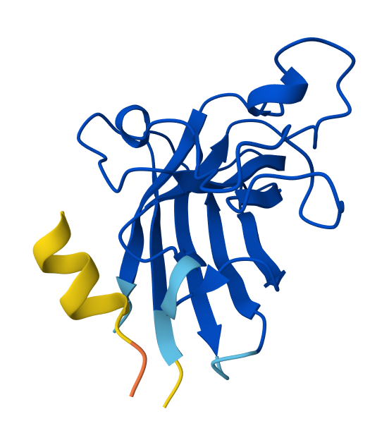 Optimized Peptide N°3 Peptiverse result