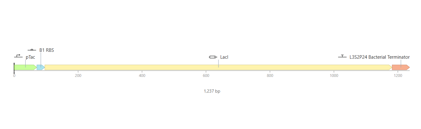 Second construct linear map