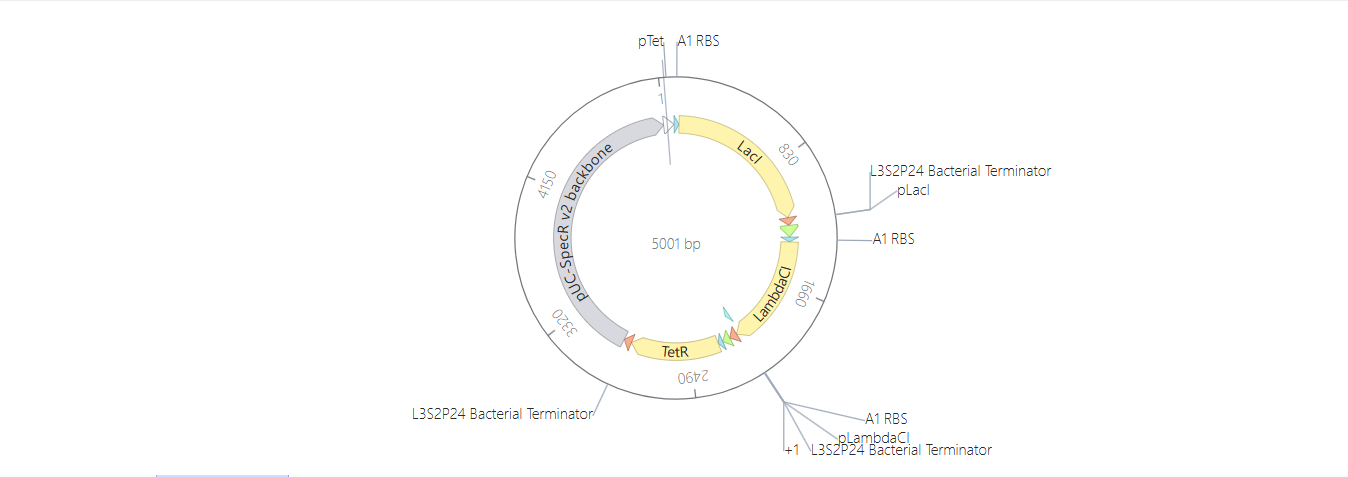 Assembled Repressilator circular map