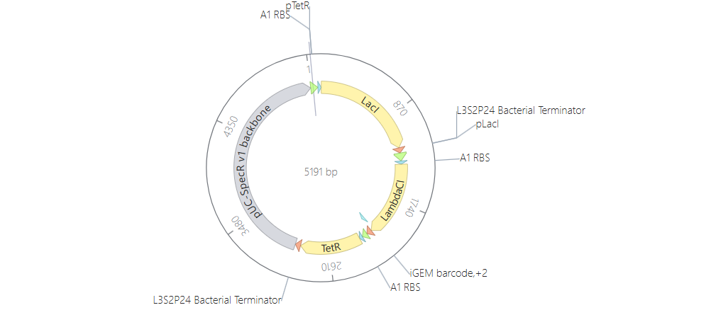 Assembled Repressilator linear map version 2