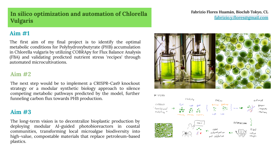 Idea 3: Chlorella vulgaris and PHB