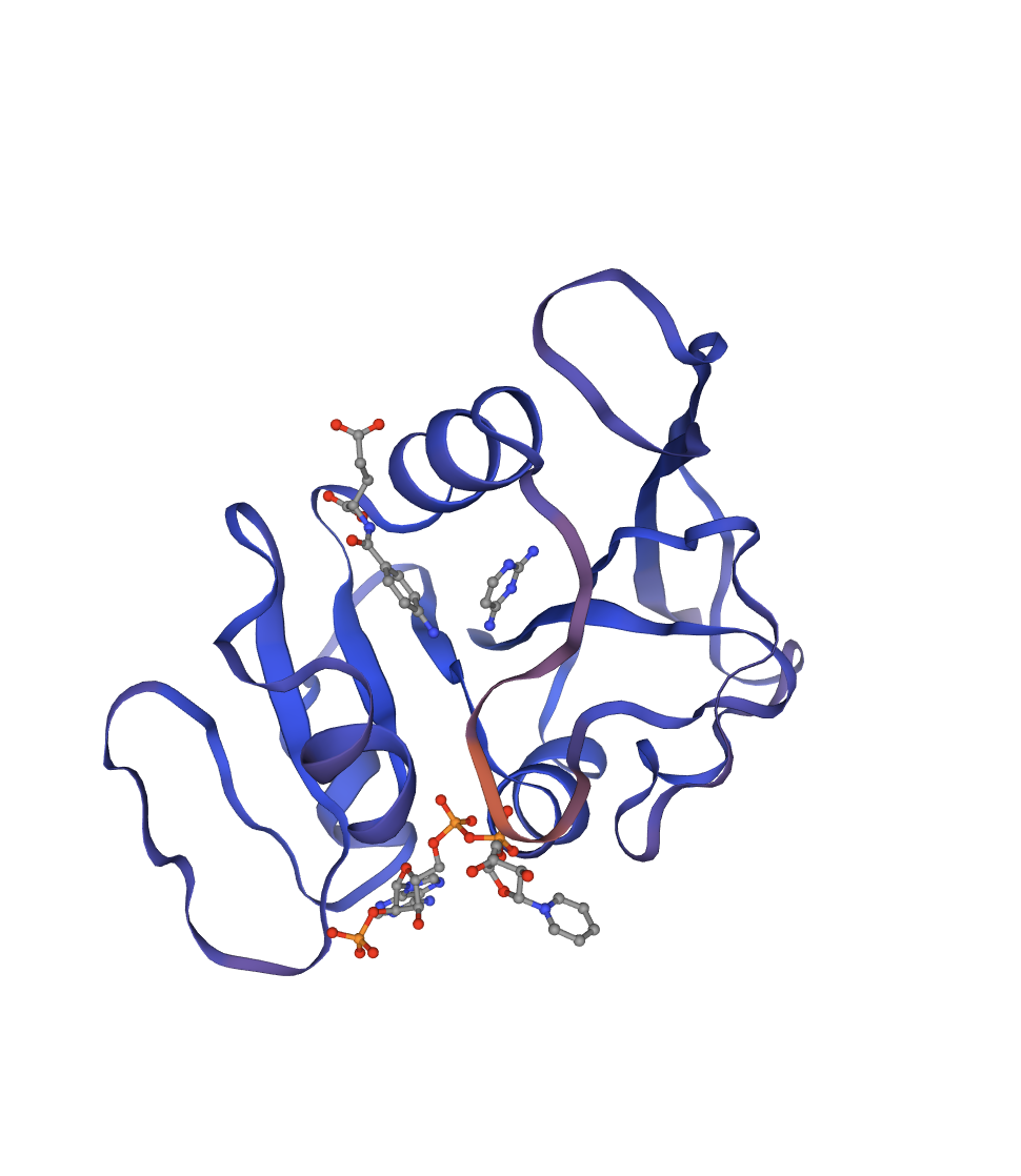 PDB 1RX2 — E. coli DHFR crystal structure with bound ligands