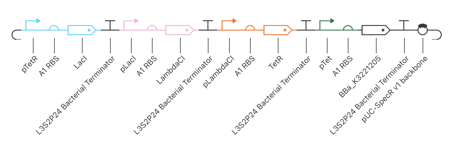 Final working Repressilator construct: four colour-coded TUs (blue: pTetR→LacI; pink: pLacI→LambdaCI; orange: pLambdaCI→TetR; green: pTet→BBa_K3221205) on pUC-SpecR v1 backbone. All CDS variants carry ssrA/LVA degradation tags (*).