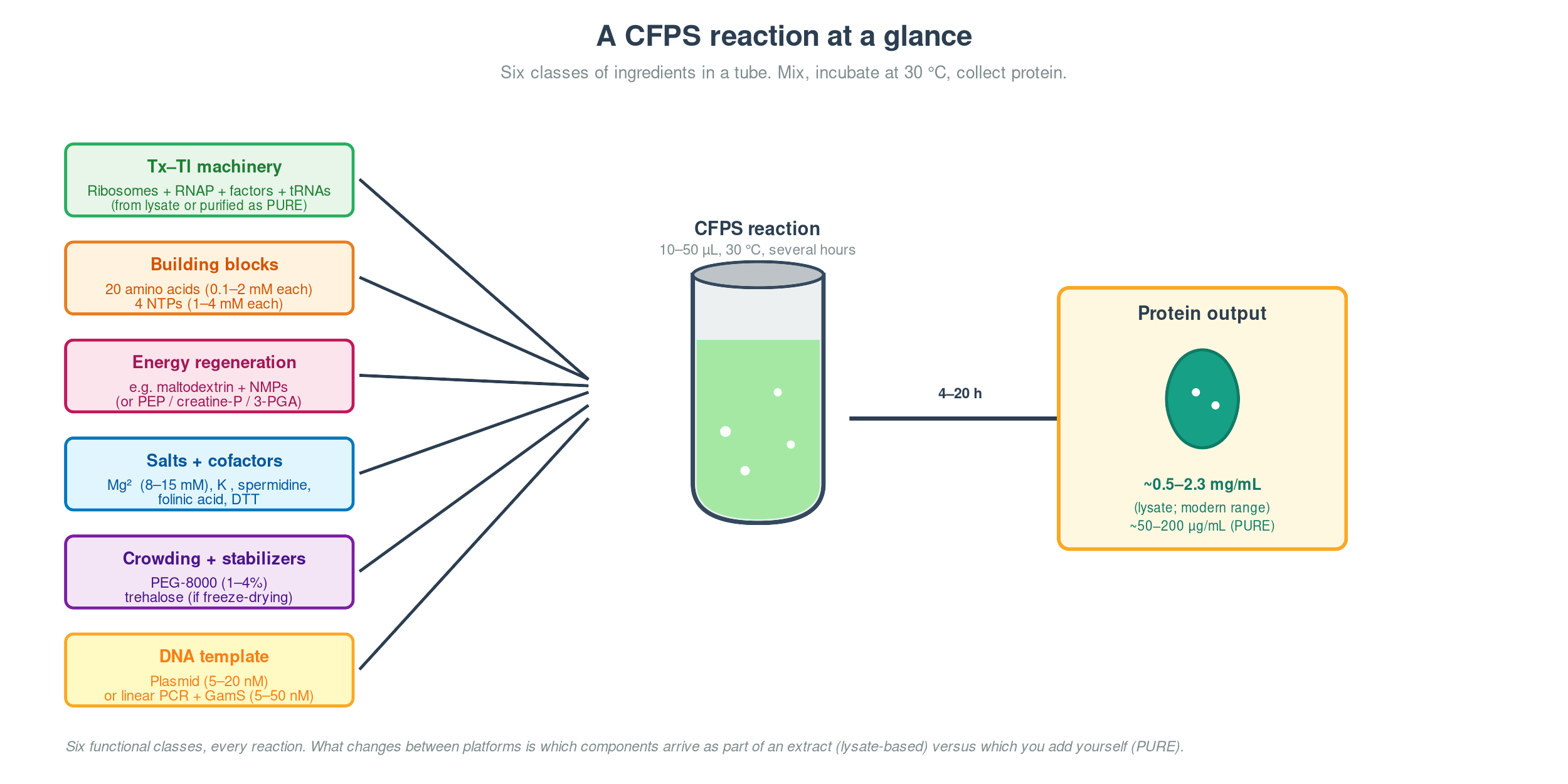 CFPS reaction at a glance