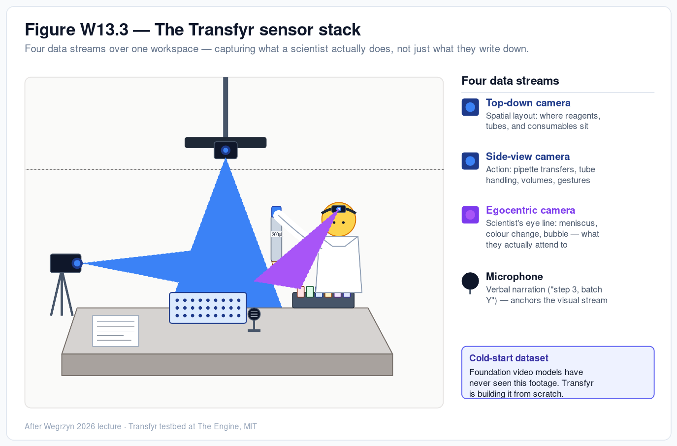 Figure W13.3 — The Transfyr sensor stack at the bench. Schematic of a wet-lab workstation instrumented with four data streams. ① An overhead-mounted top-down camera covers the bench surface, capturing the spatial layout of reagents, tubes, and consumables. ② A side-view camera on a tripod captures the action — pipette transfers, tube handling, gestures, volumes drawn. ③ An egocentric head-worn camera on the scientist captures her eye line: meniscus, colour change, the specific bubble she&rsquo;s watching — what she actually attends to. ④ A microphone on the bench captures verbal narration (&ldquo;step 3, batch Y&rdquo;), anchoring the visual stream against an explicit timeline. Items on the bench: 96-well plate, single-channel pipette, Eppendorf tube rack, paper lab notebook. The four streams together form the cold-start dataset that foundation video models have never seen and that Transfyr is building from scratch at The Engine, MIT.