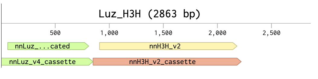 Accessibility text