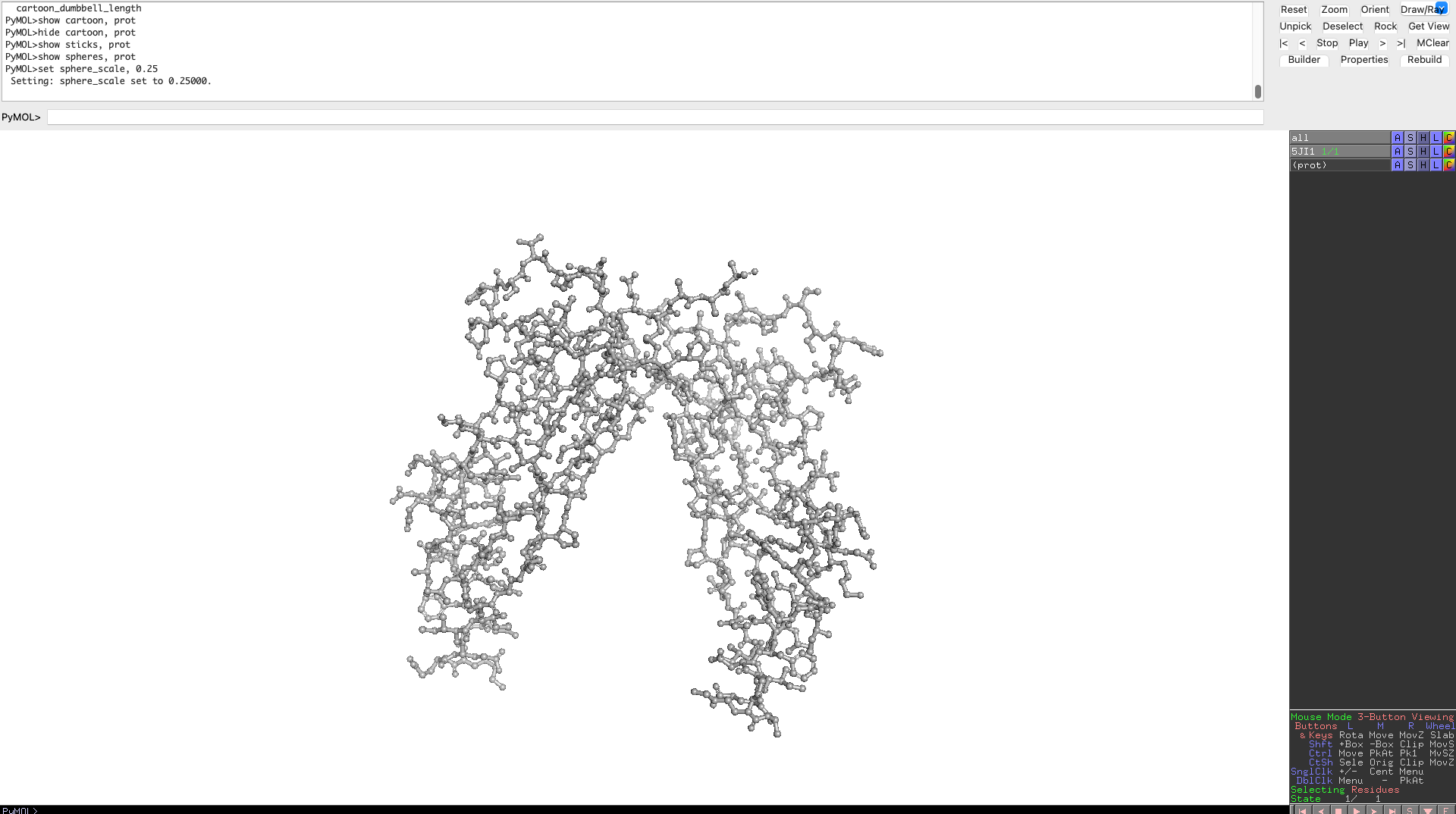 Cartoon Myostatin