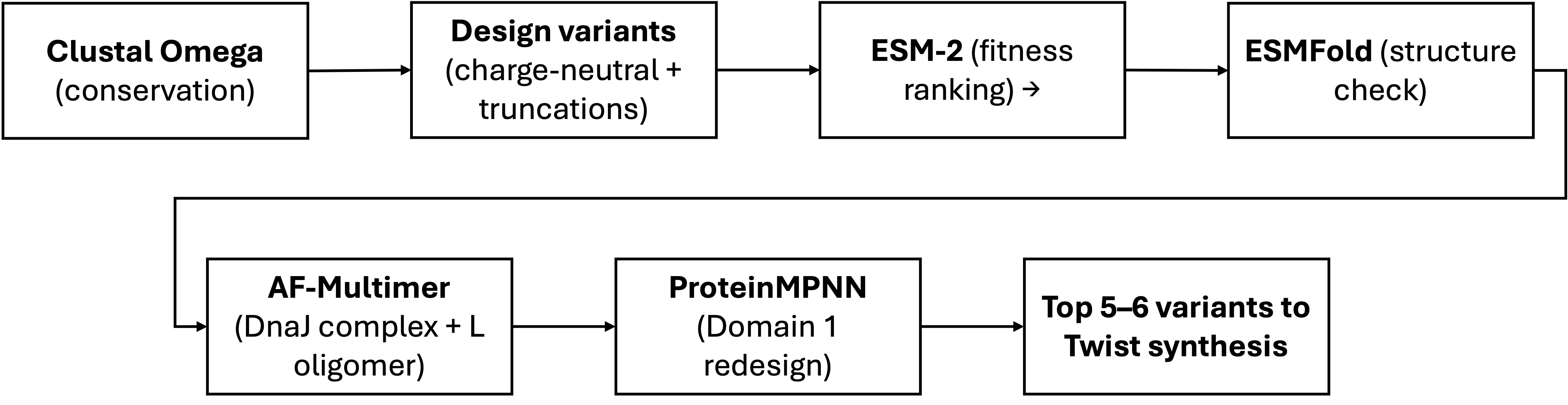 Schematic Bacteriophage