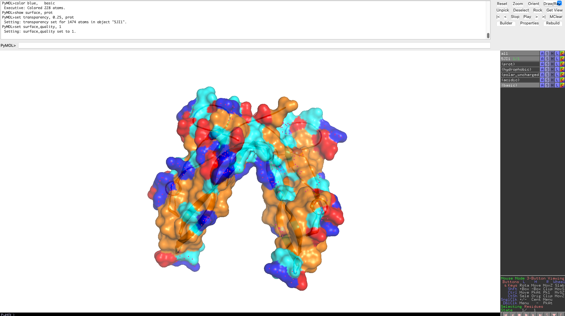 Surface 1 Myostatin
