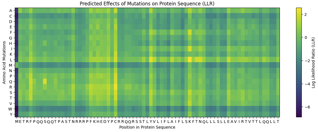 Phage Mutation Heatmap
