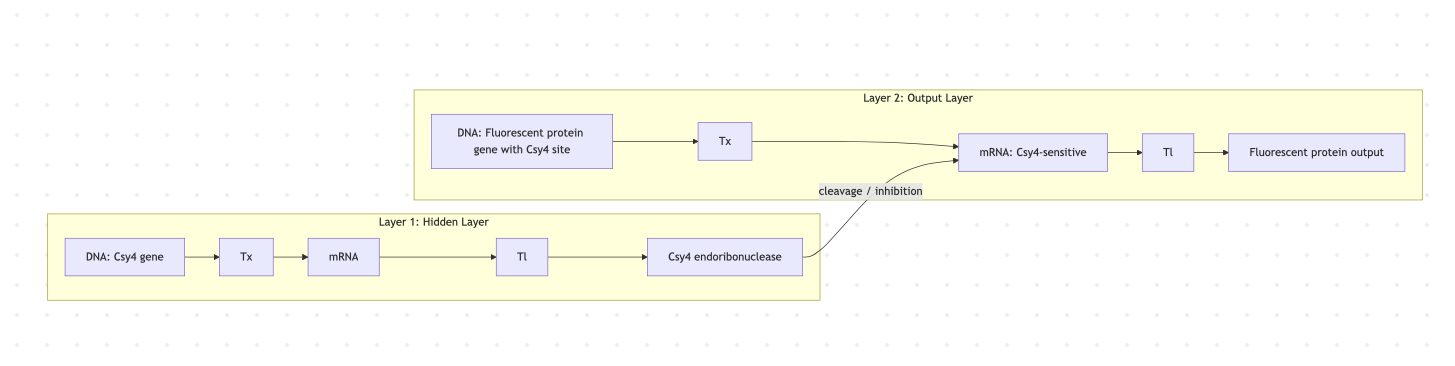 Diagram multilayer perceptron