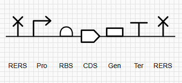 SBOL Cassette Design