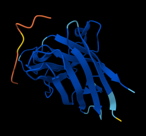 SOD1 A4V–FLYRWLPSRRGG complex