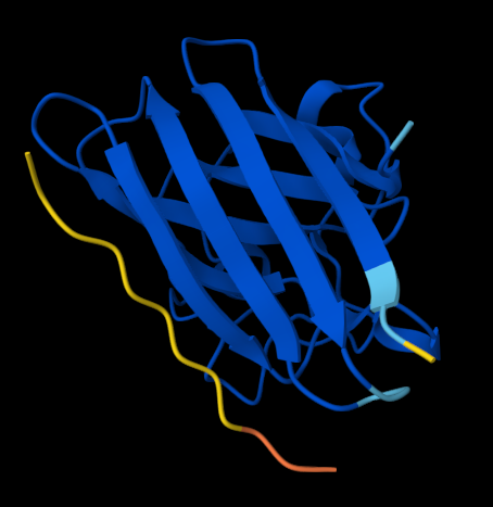 SOD1 A4V–KLVYPVVVAWWK complex