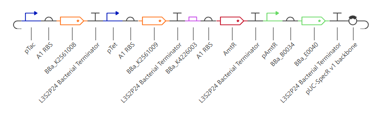 Benchling Gibson design