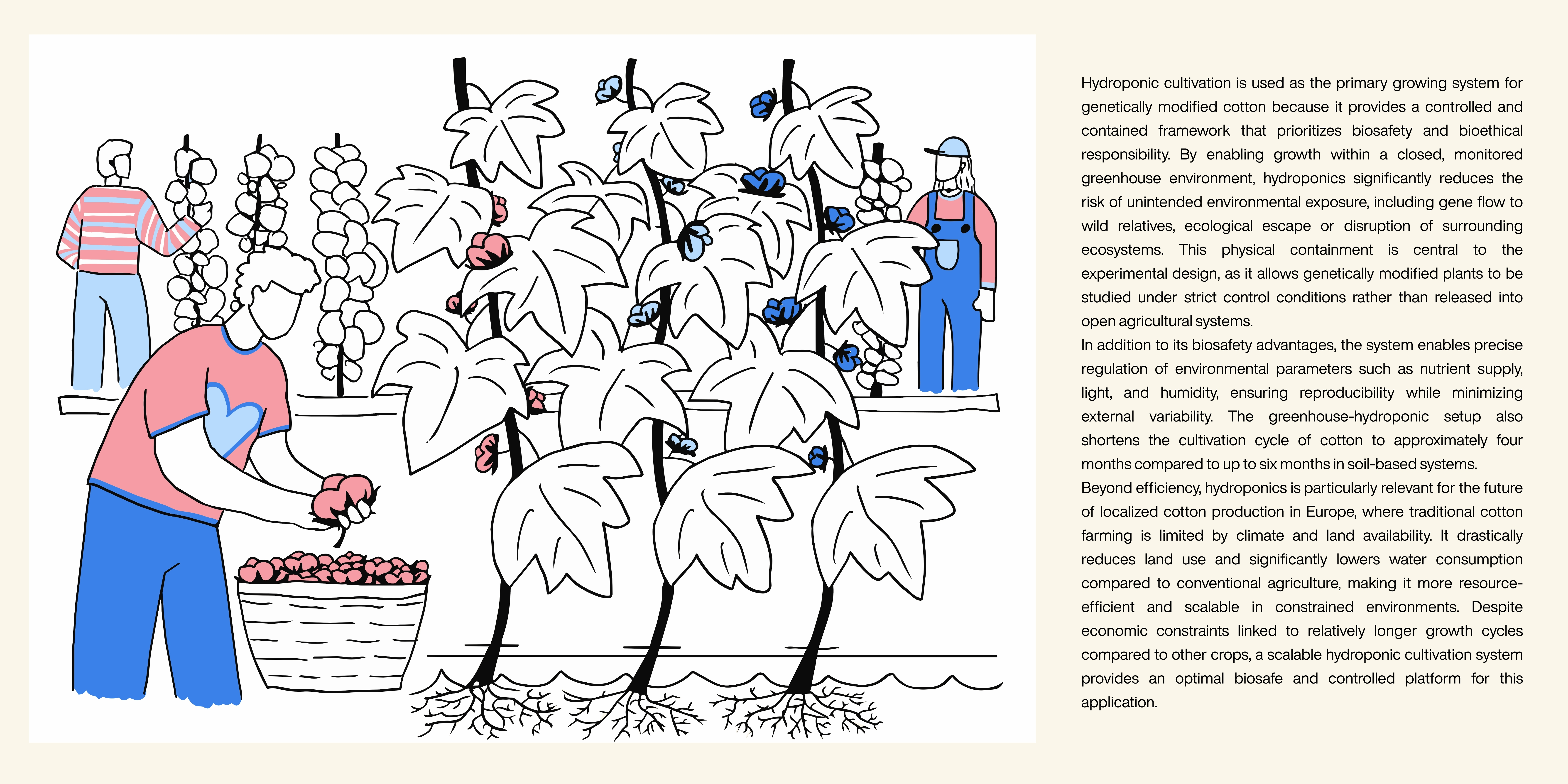 hydroponics