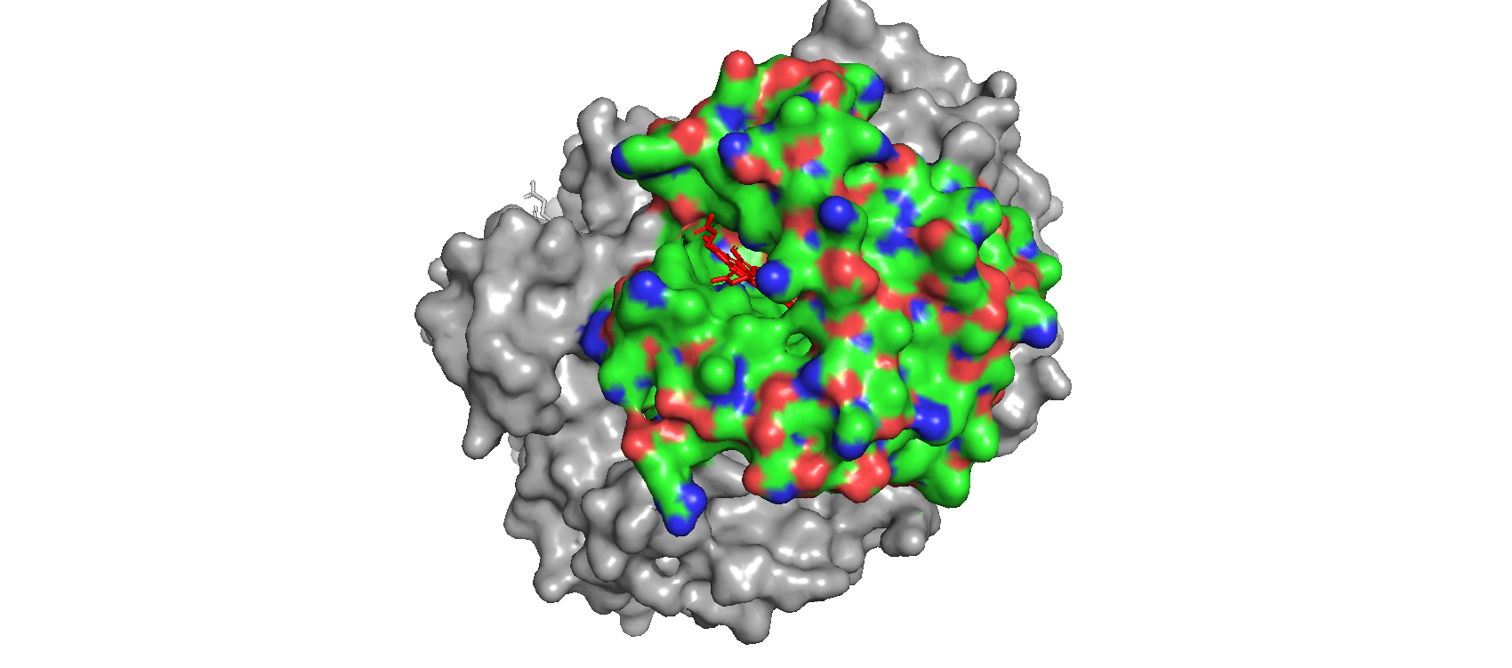 pymol_alpha_subunit