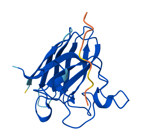 FLYRWLPSRRGG