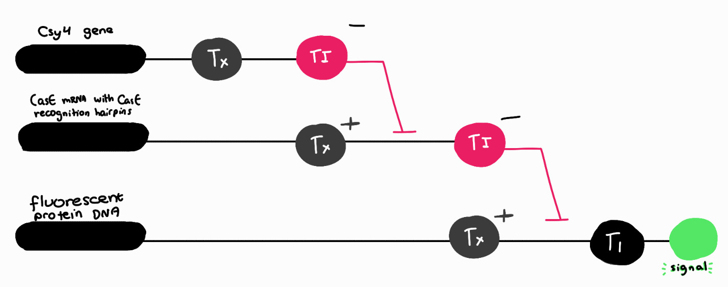 circuit.png