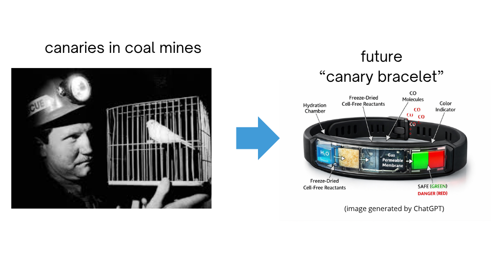 canary_bracelet.png