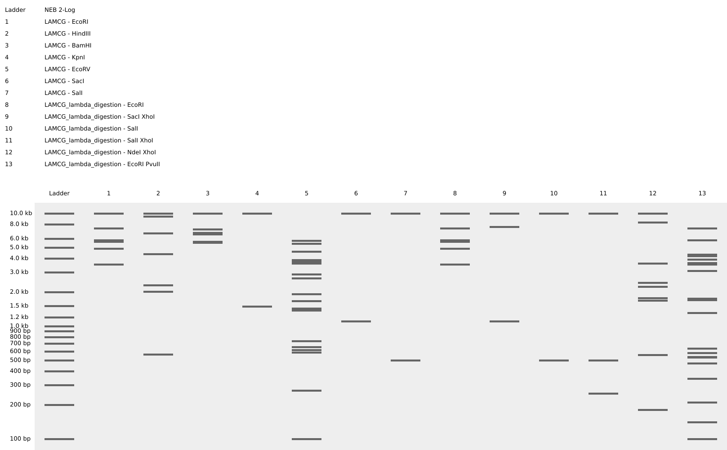 benchling half