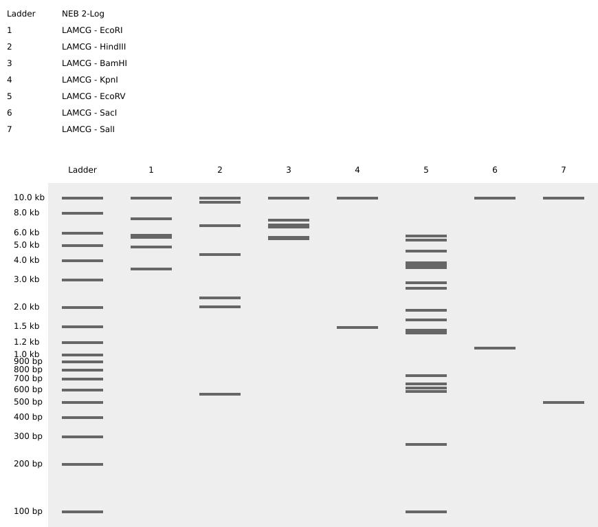 Lambda virtual digest file