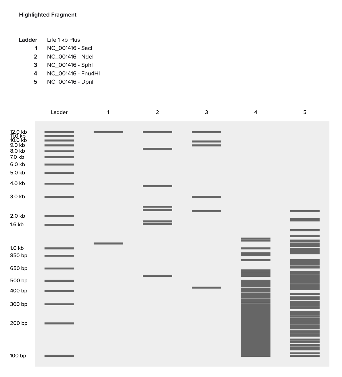 Benchling screenshot 2