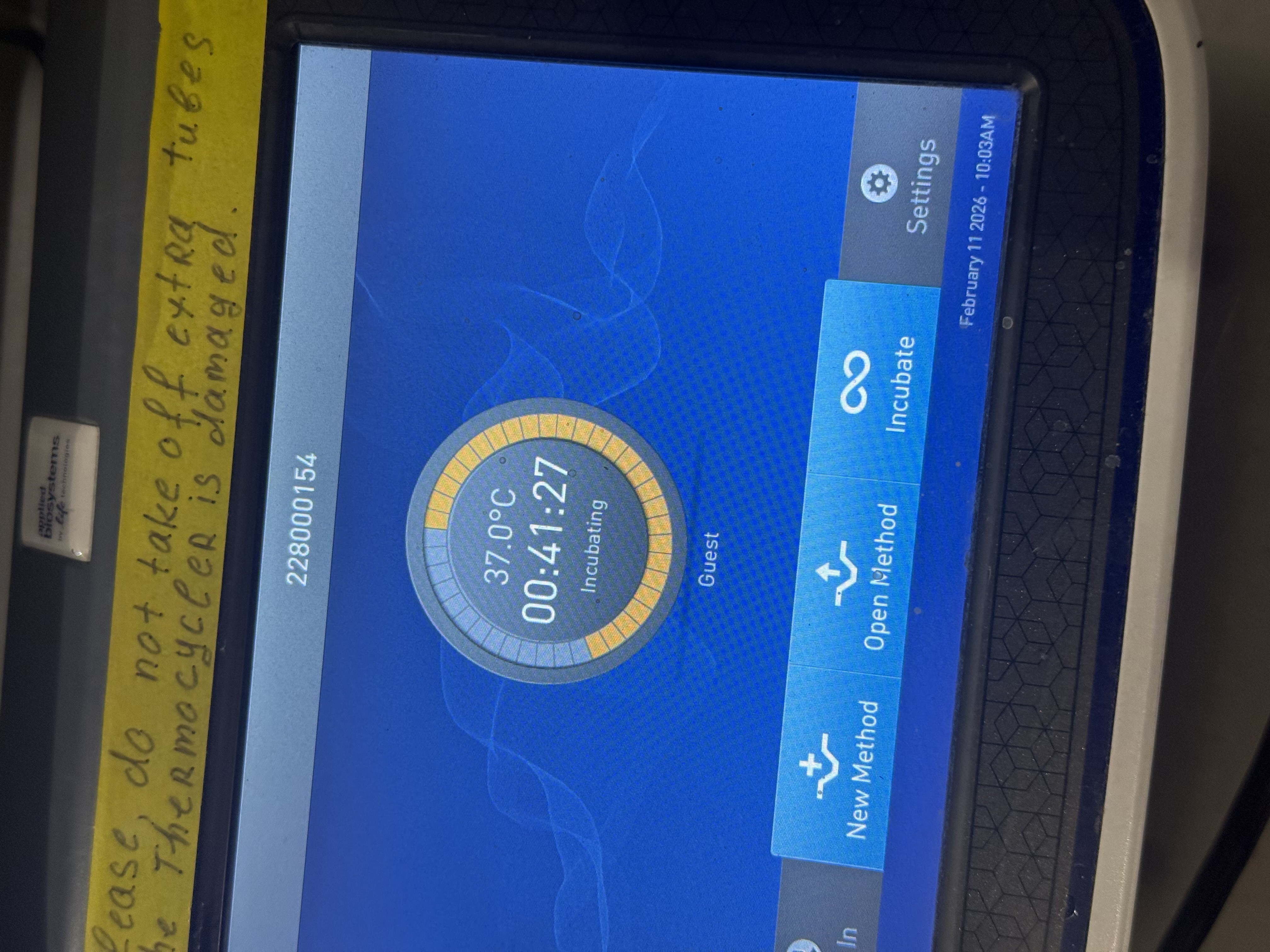 Restriction digest and gel lab