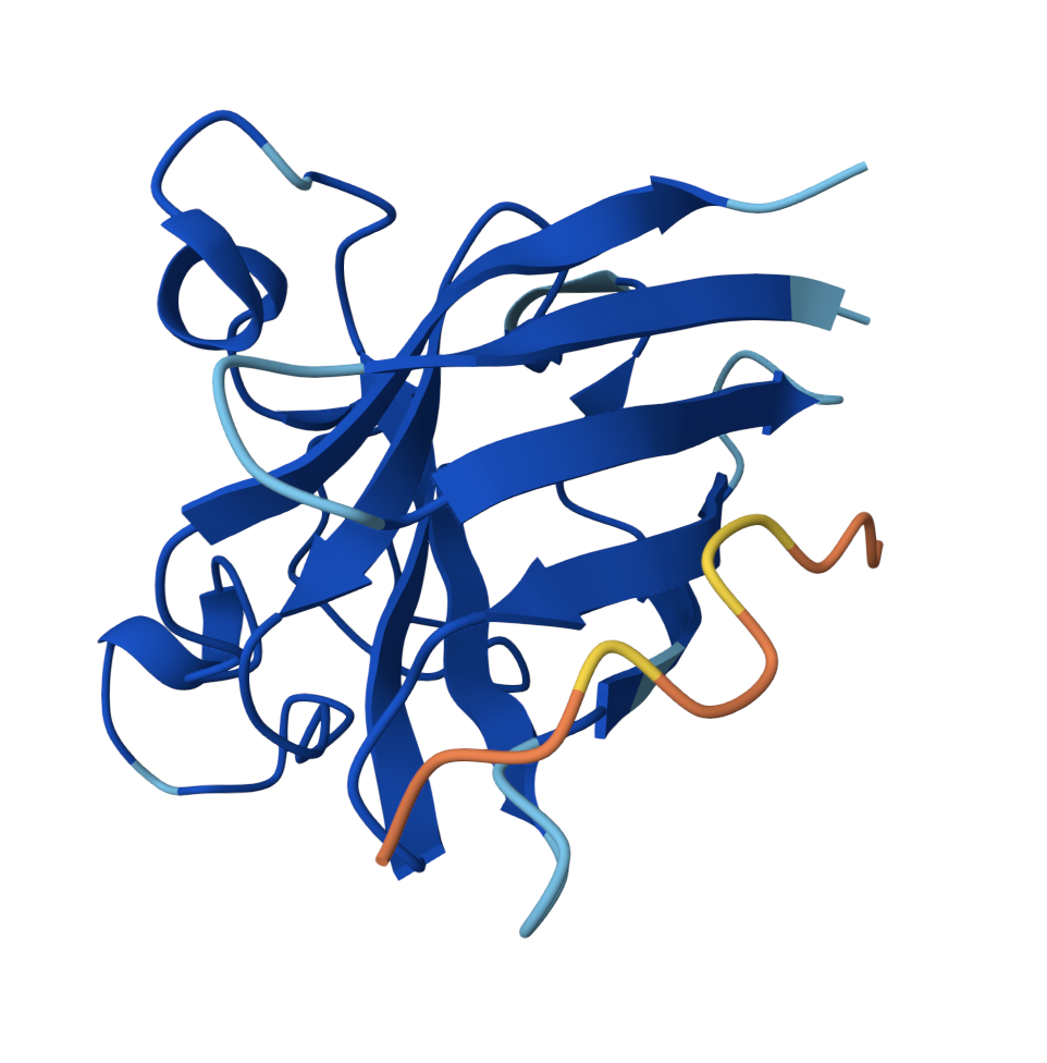WRVPATAVAWKE docked onto SOD1 β-barrel loop region