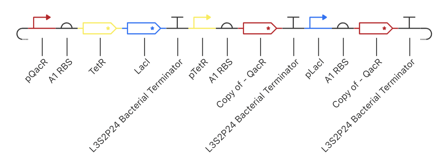 Dual Repressor Circuit
