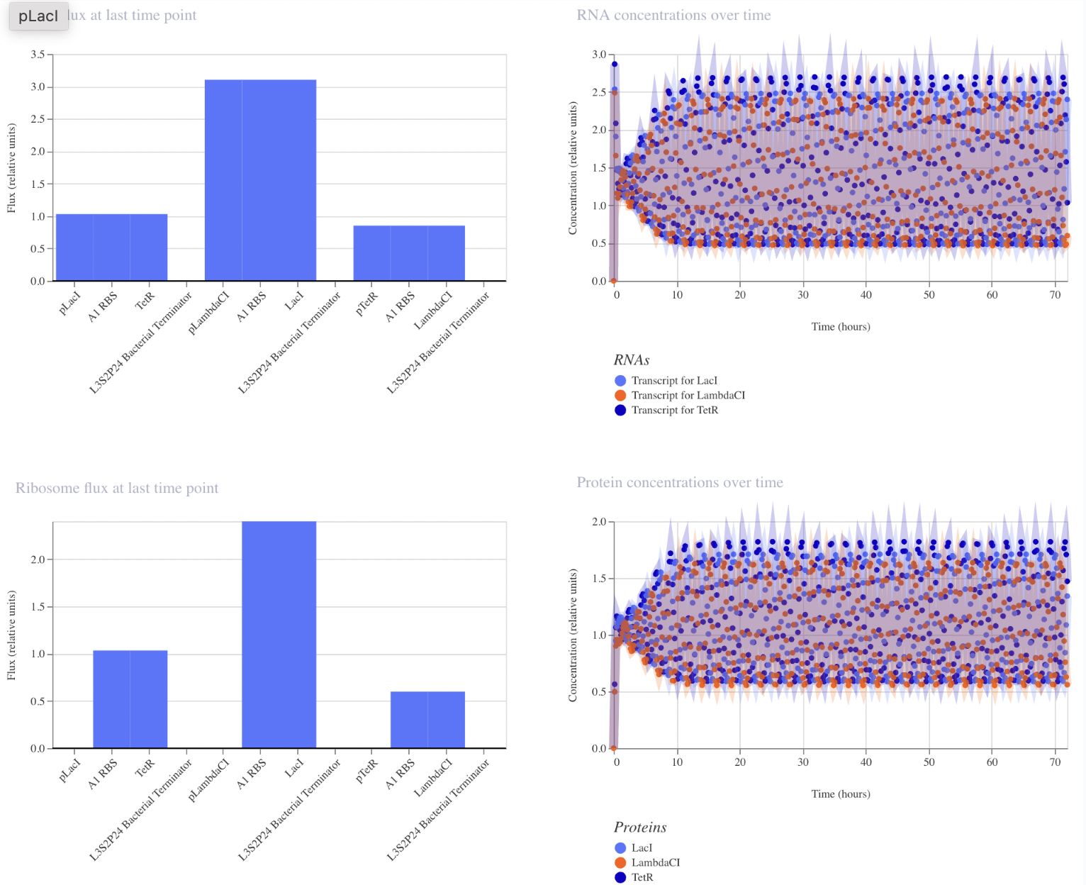 Repressilator RNA and Protein Concentrations