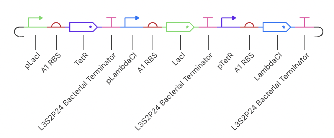 Repressilator Circuit