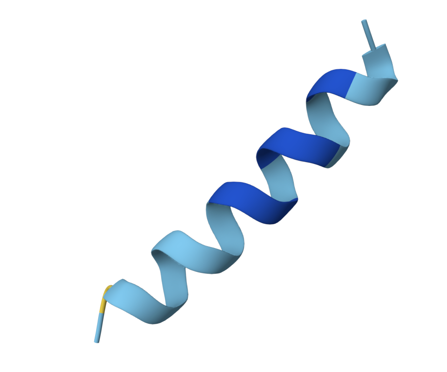 Peptide Image