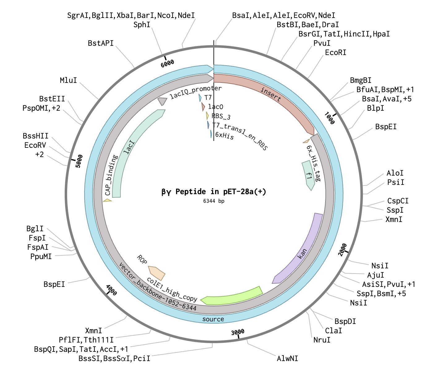 Plasmid Image