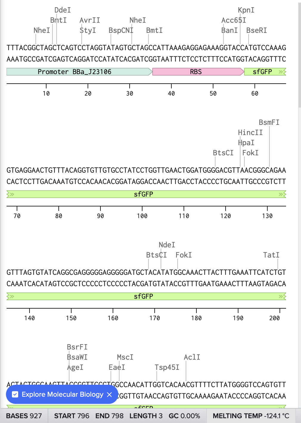 GFP Image
