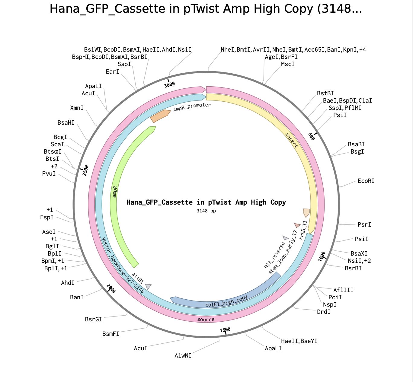 GFP Image
