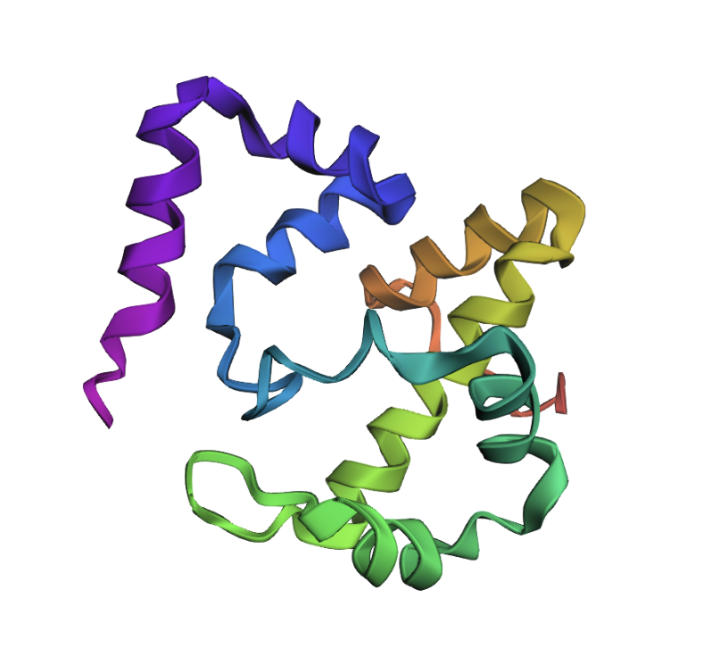 translocation