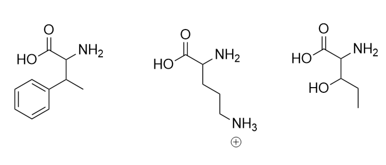 new amino acids