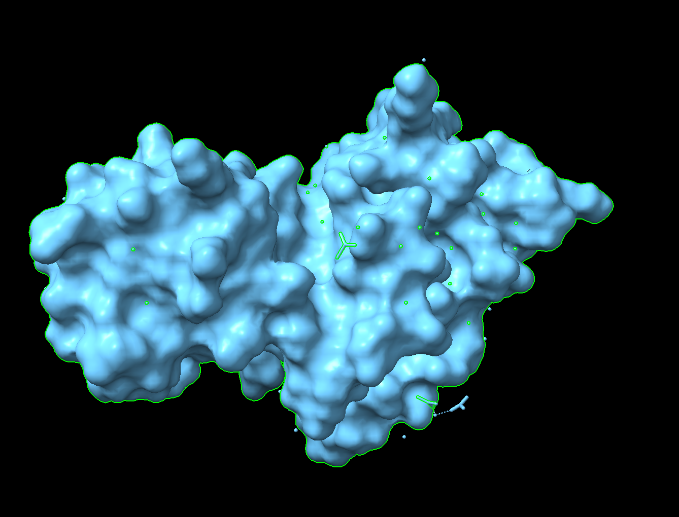 protein surface