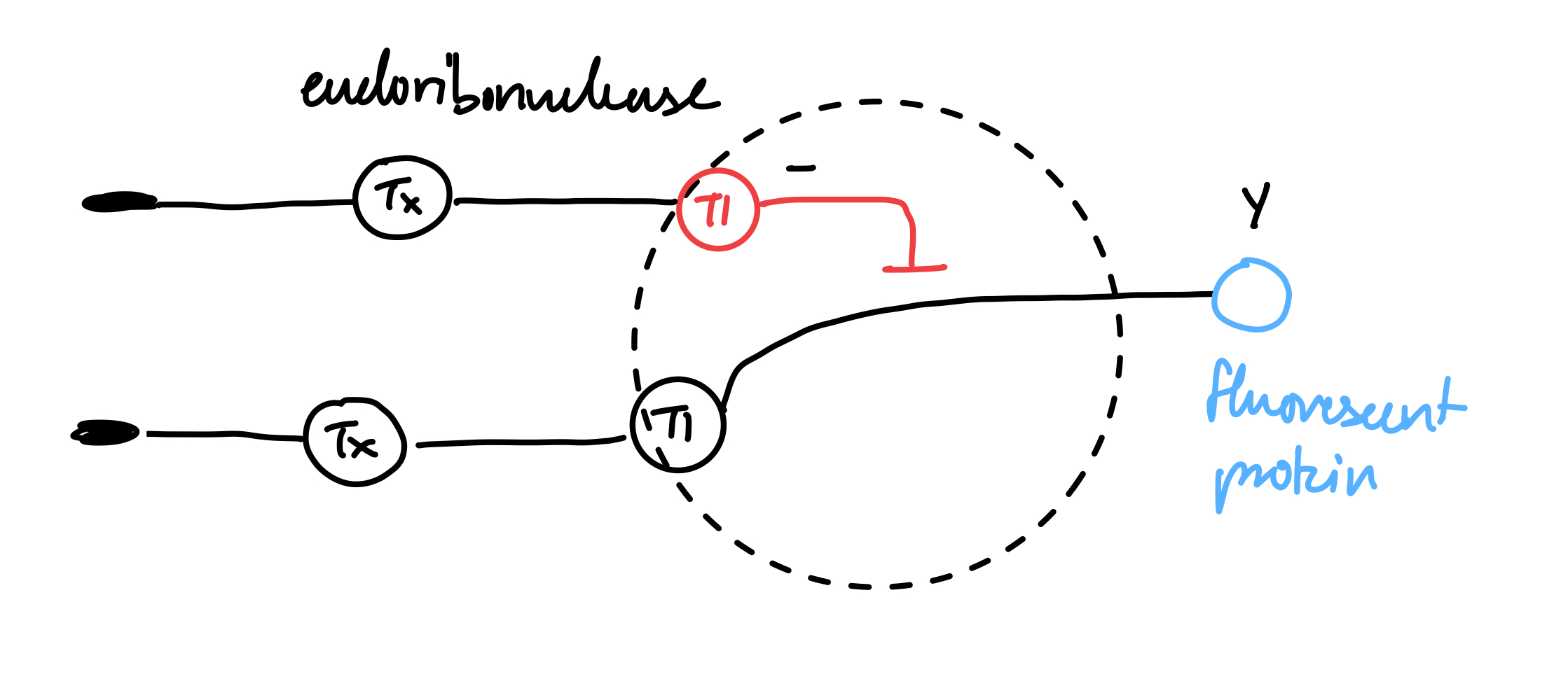 perceptron
