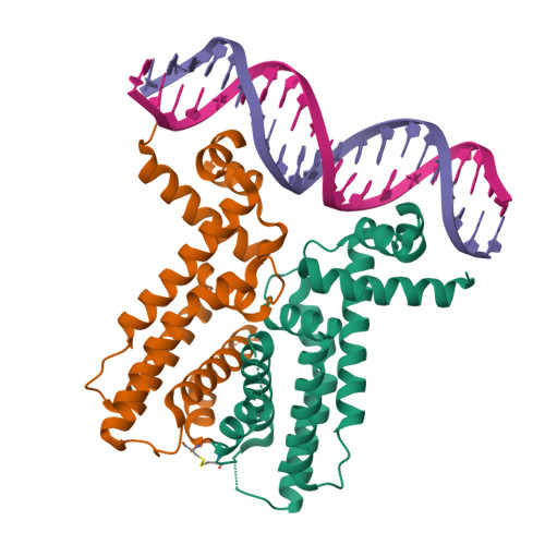 LuxR Actual Structure
