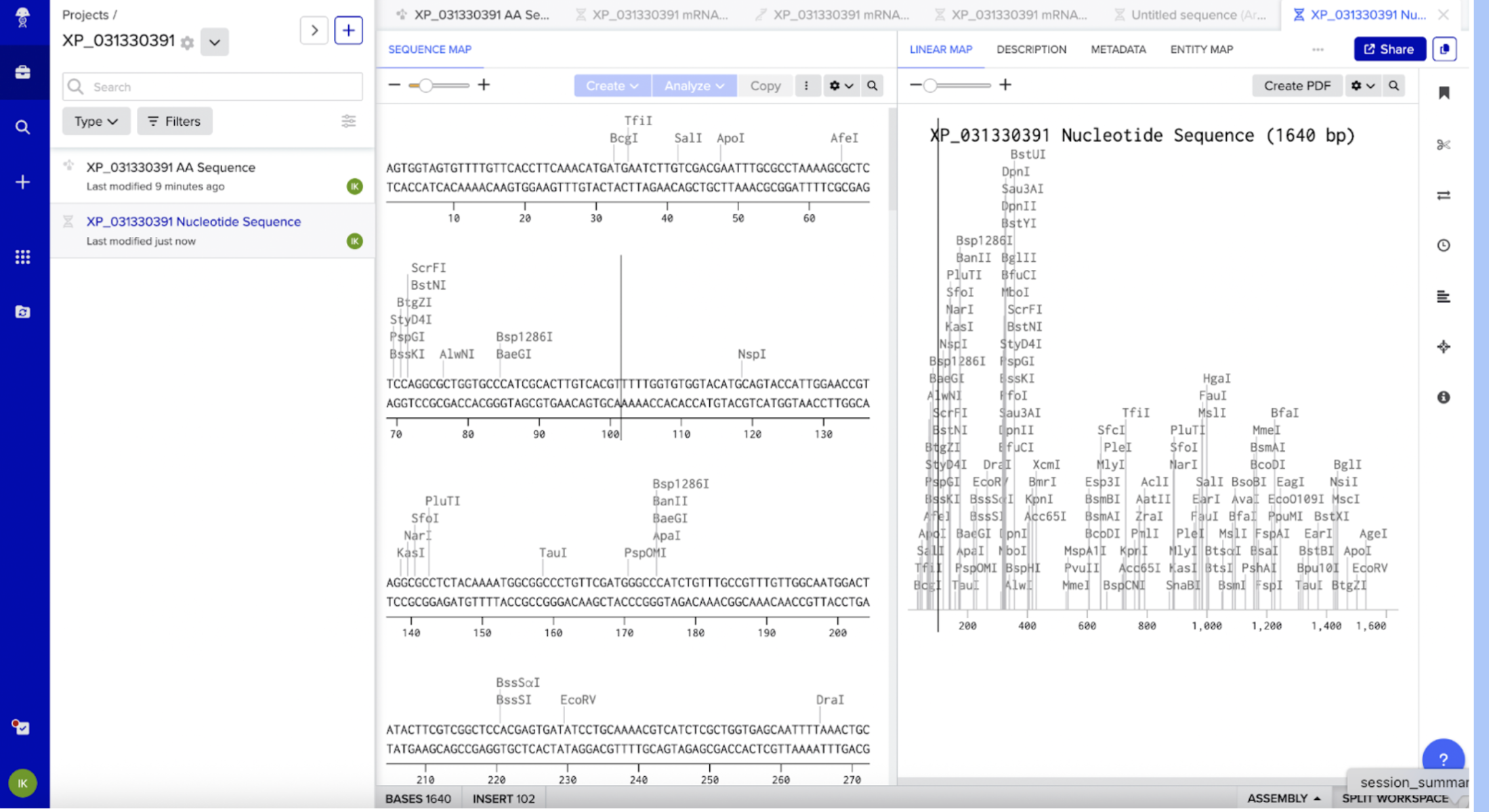 Benchling XP_031330391 Sequence