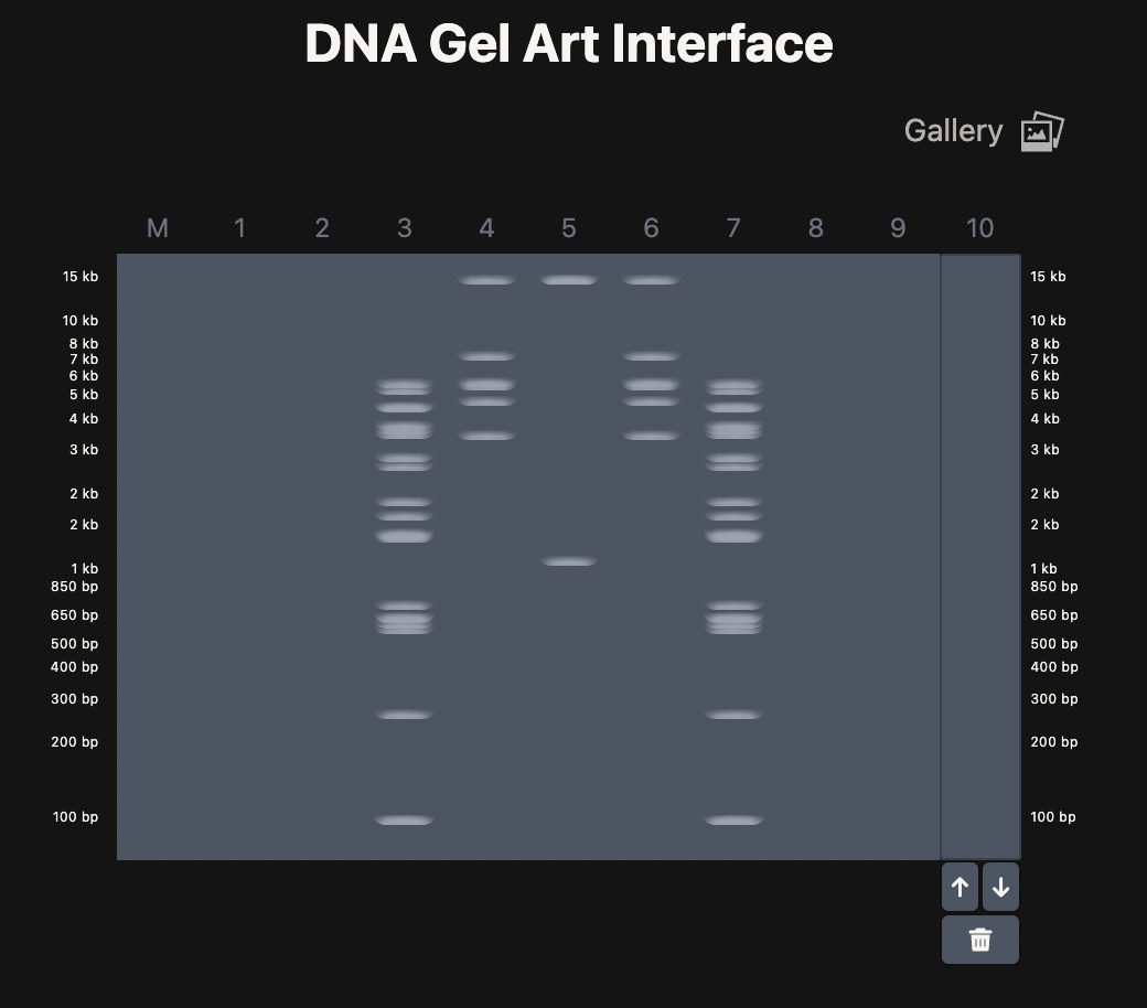 Ronan’s website design