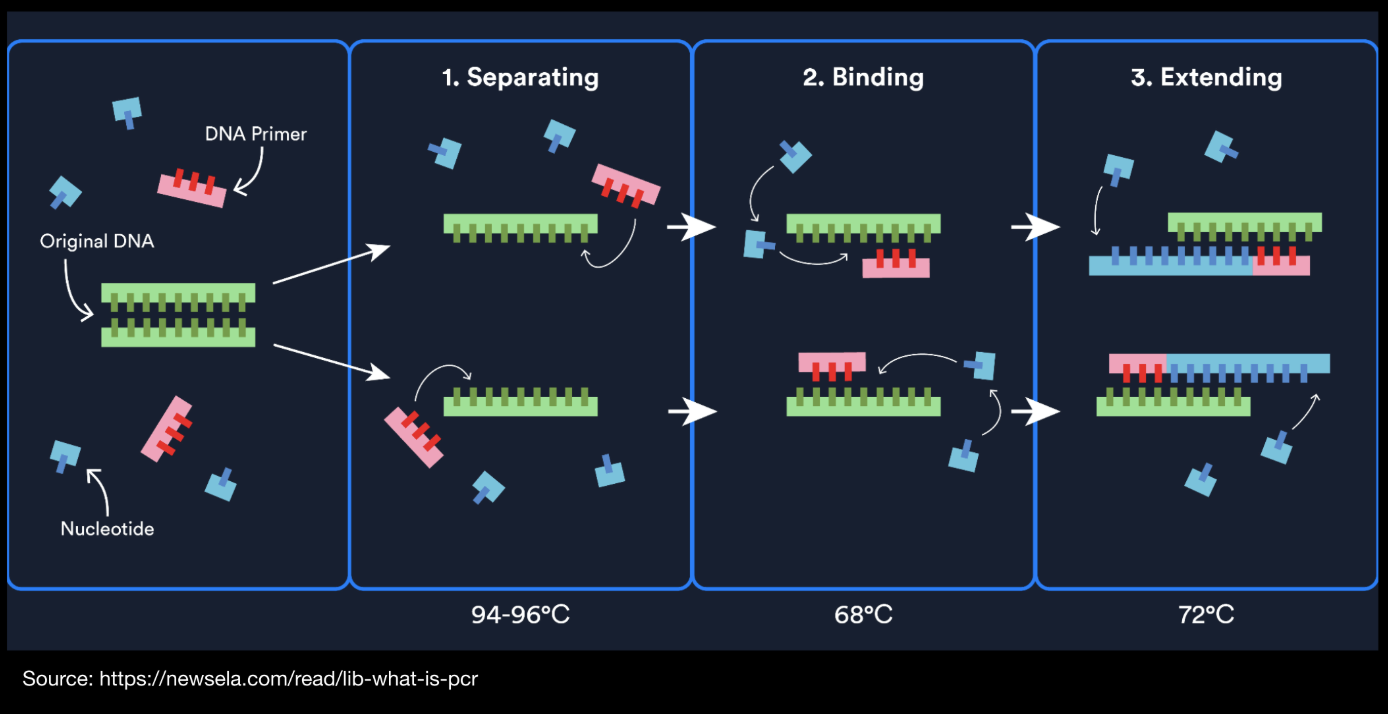 pcr