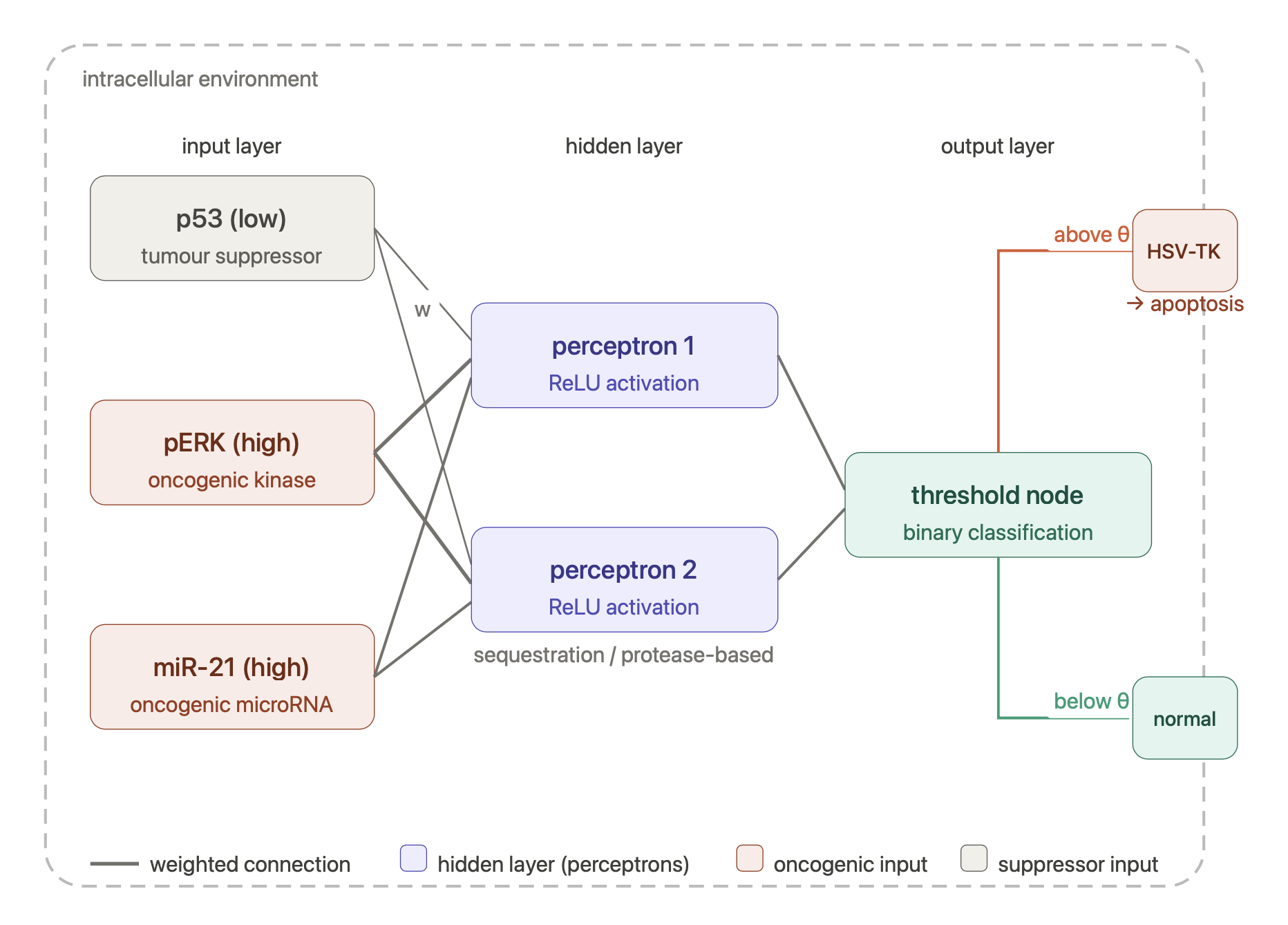 cancerschematic