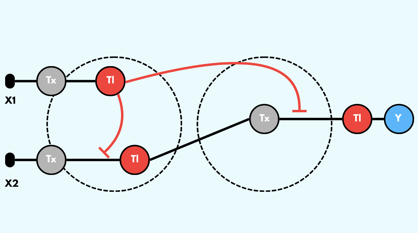 schematic